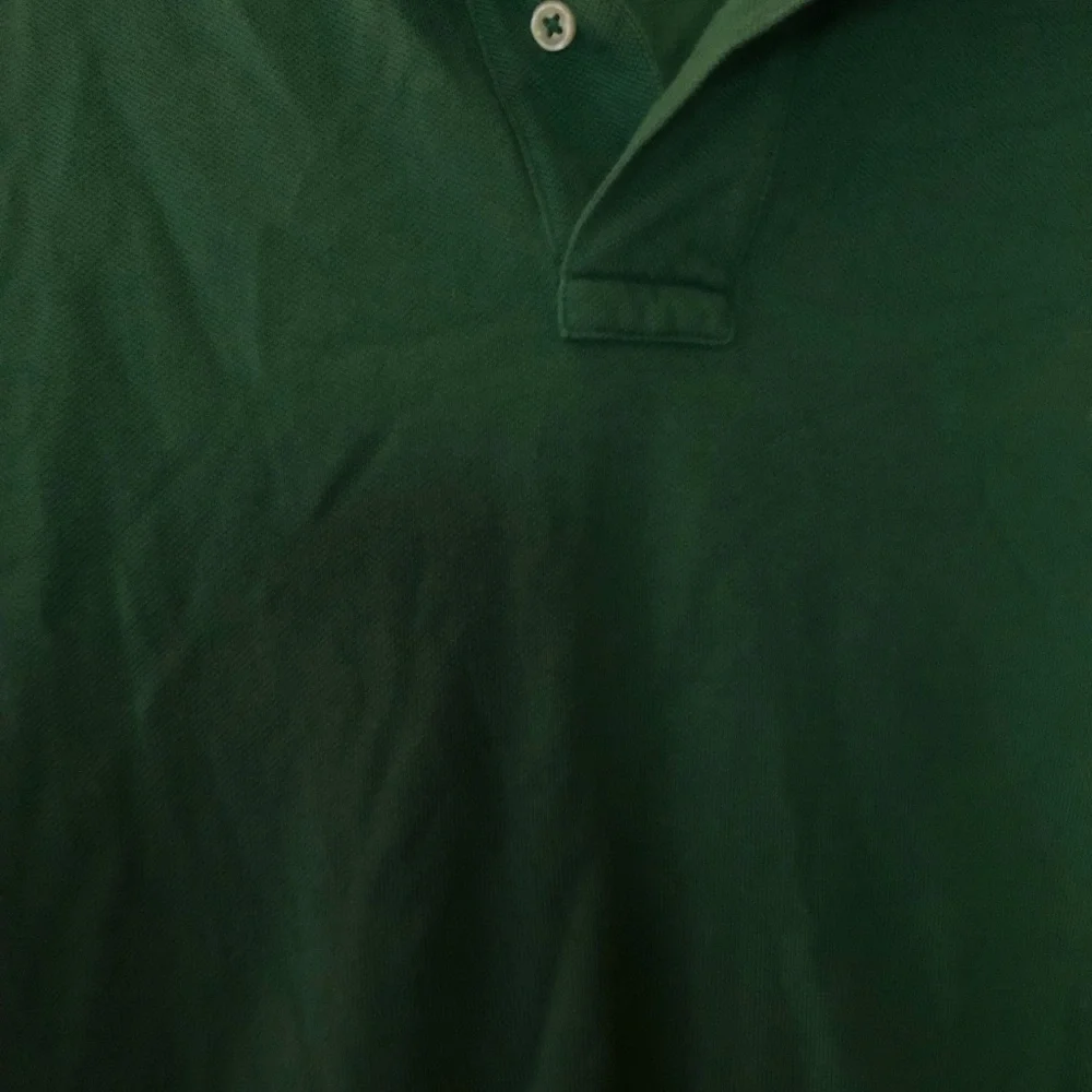 Ralph Lauren Men's Green Polo with Gold Pony Embroidery
